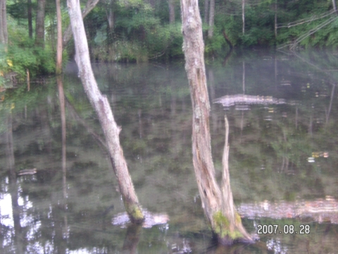 s_PICT0375.jpg